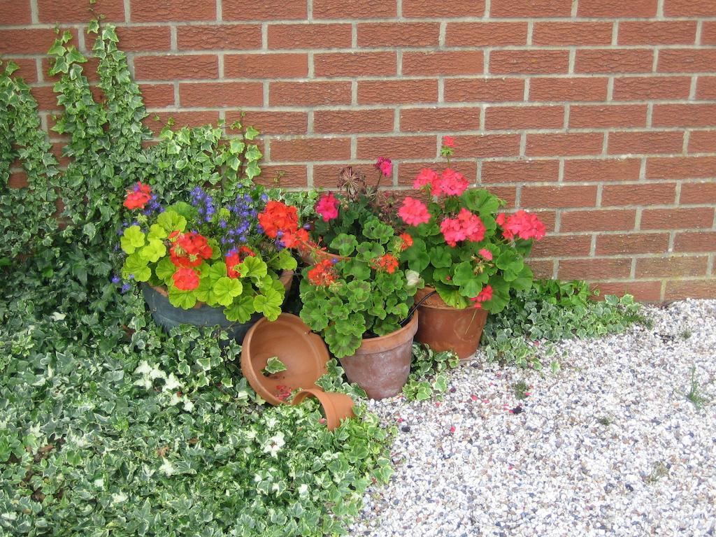 Wood Fen Lodge Littleport Esterno foto